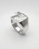 Statement Signet Ring | 925 Silver